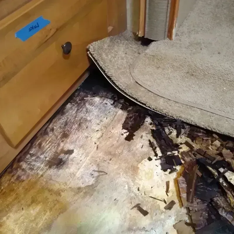 Best Wood Floor Water Damage Service in Anna, OH